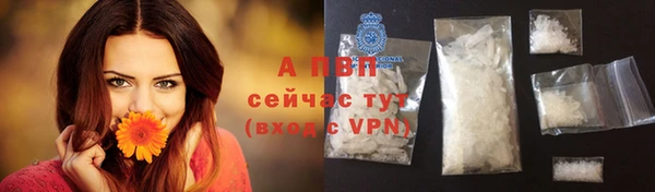 трава Заволжск
